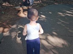 -食膳公园包子铺(烈士公园店)