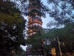 -分塔山省级森林公园