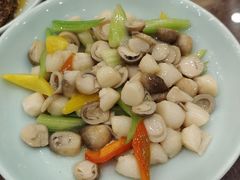 -富春茶社(国庆路店)