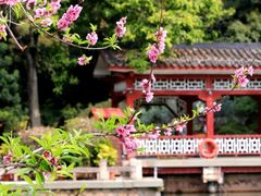 -西湖公园(鼓楼区)