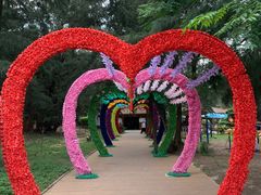 -北海金海湾红树林生态旅游区