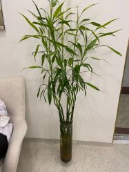 点击看大图 -苗方清颜·祛痘皮肤管理