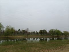 -上海滨江森林公园