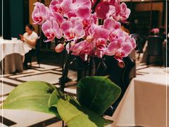-Yan Ting 宴庭中餐厅(上海静安瑞吉酒店)