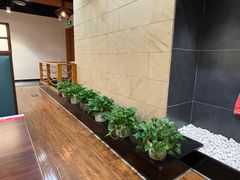 -黑松白鹿(金融街店)