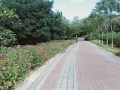 -北京张裕爱斐堡酒庄