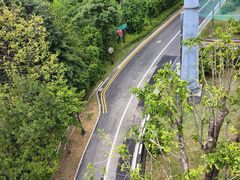 -圣淘沙天际线斜坡滑车