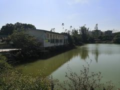 -溪悦渔庄(九龙湖店)