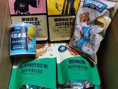 -三只松鼠