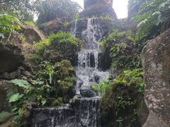 -海口火山口国家地质公园