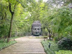-杭州植物园