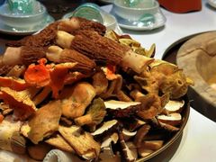 -七采菌园·野生菌石锅鱼(环城北路店)