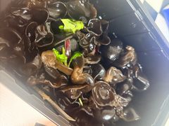 -蝎王府羊蝎子(天通苑店)