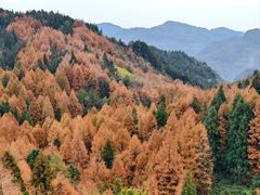 -山王坪喀斯特国家生态公园