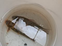 -漕湖湿地公园