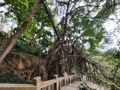-乌山风景区