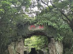 -海口火山口国家地质公园