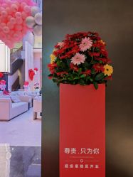 -深圳艺星医疗美容医院