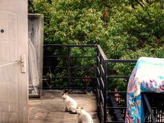 -半岛1919创意园区