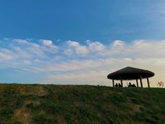 -光明小镇欢乐田园