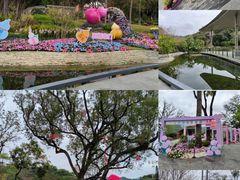 -云溪植物园