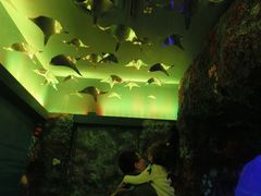 -沈阳海洋探索中心