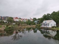 -大塘金香草谷