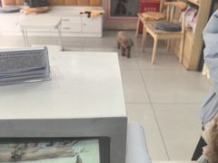 -全心全意连锁动物医院·微创中心·内科急重症·心脏专科(丰管路店)