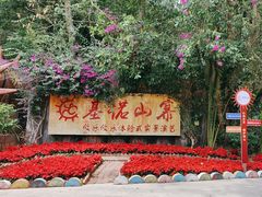 -西双版纳基诺山寨