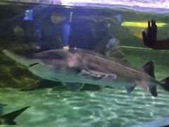 -常州海昌海洋探索馆