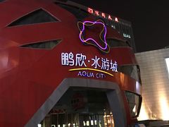 -鹏欣水游城