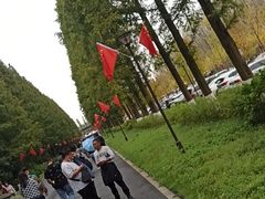 -黄海国家森林公园