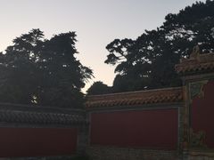 -北陵公园