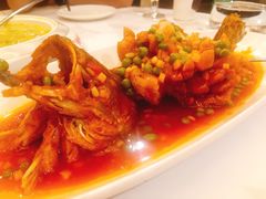 松鼠桂鱼-无名居(中关村辽宁大厦店)