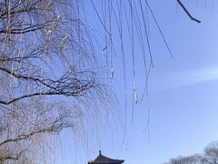 -程府宴(南长街四合院店)