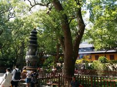 -普陀山风景名胜区-法雨禅寺