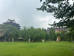 -长兴太湖图影湿地文化园