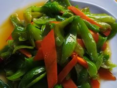 -腾冲国萍农家乐