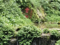 -青城山