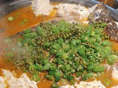 -探鱼·鲜青椒爽麻烤鱼(广州花都来又来店)
