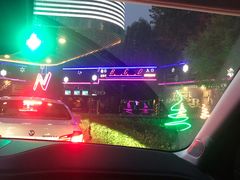 -枫花园汽车电影院(朝阳公园店)