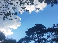 -北陵公园