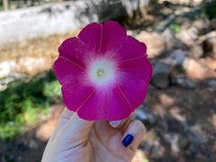 -湖洞水自然风景区