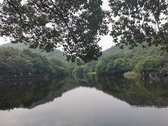 -白马涧龙池景区