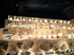 -河姆渡遗址博物馆