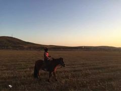 -塞罕坝国家级自然保护区