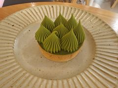 -猫里有甜