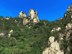 -大岭沟猕猴桃谷风景区