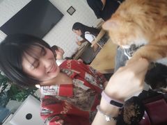 -平行世界·猫咖(首经贸店)