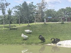 -WE ME 伴山营地·城市露营·团建策划